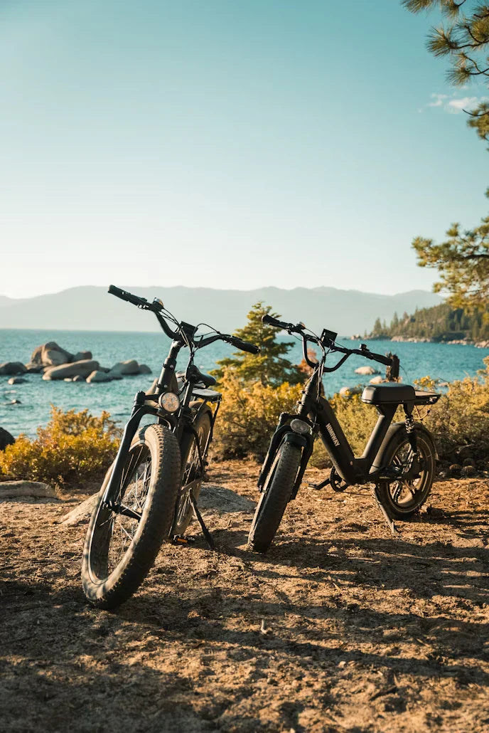 Guide d'achat : quel vélo électrique choisir ?